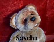 Sascha18